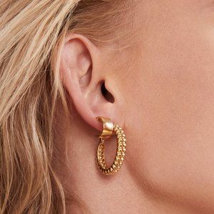 Large Mejuri Charlotte Vermeil Gold Hoops